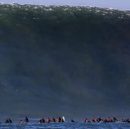 Surfeurs sur une vague géante